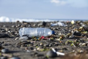 A plastic bottle litters a beach.