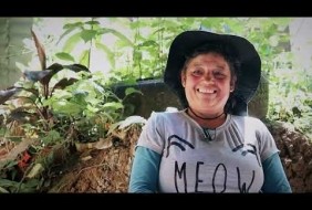 Women of La Melonada in Yolombó: Pioneers in the cultivation of organic ginger