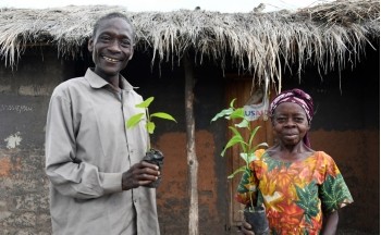 TCMR participants with seedlings